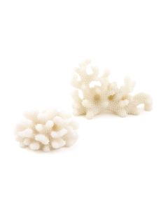 Coral Shaped Card Holders (8)