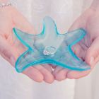 Starfish Glass Candle Holders / Dishes - Small (6)